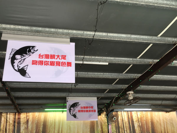 ［礁溪］九號咖啡 溫泉魚/海藻啤酒初體驗 