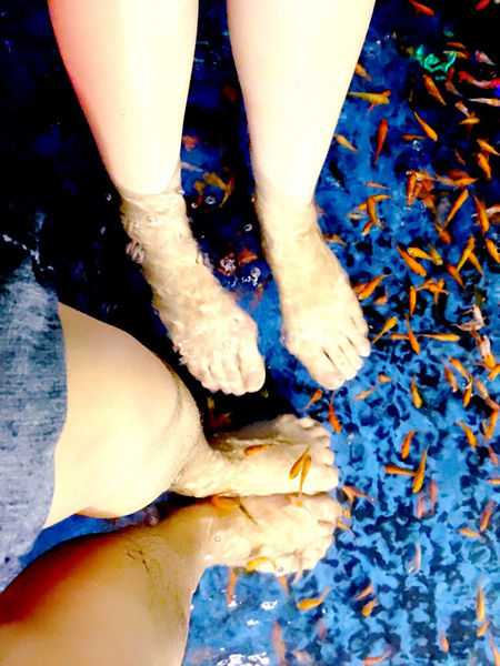 ［礁溪］九號咖啡 溫泉魚/海藻啤酒初體驗 