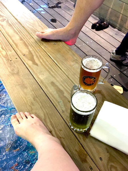 ［礁溪］九號咖啡 溫泉魚/海藻啤酒初體驗 