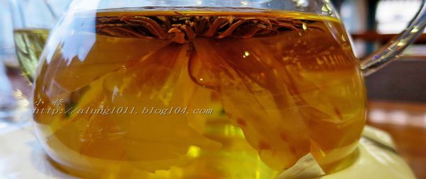 柚子樹健康蔬食料理(美術店)：健康美味、視覺味覺兼具~~     ..柚子樹健康蔬食料理/美術店    /愛評體驗團