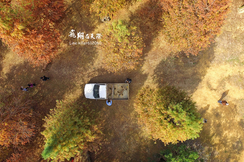 PhotoGrid_1484987398880