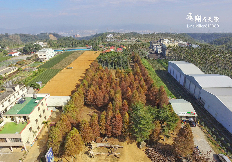 PhotoGrid_1484987676504