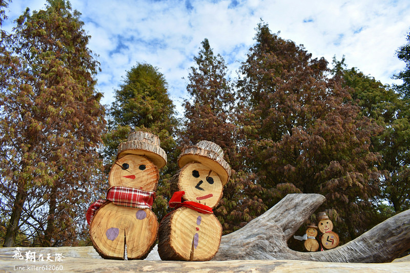 PhotoGrid_1484989410558