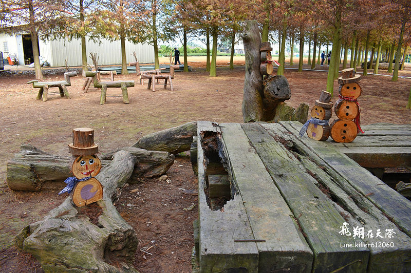 PhotoGrid_1484989571378