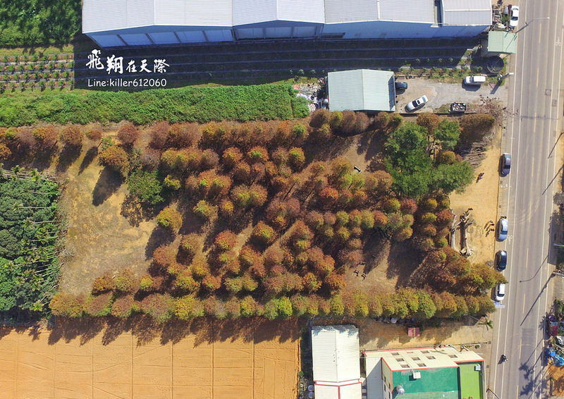 PhotoGrid_1484987747628