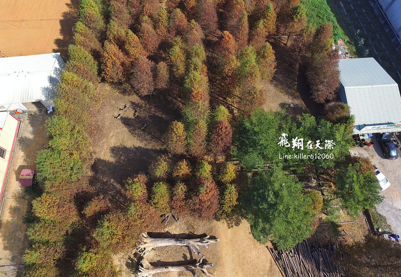 PhotoGrid_1484987590380