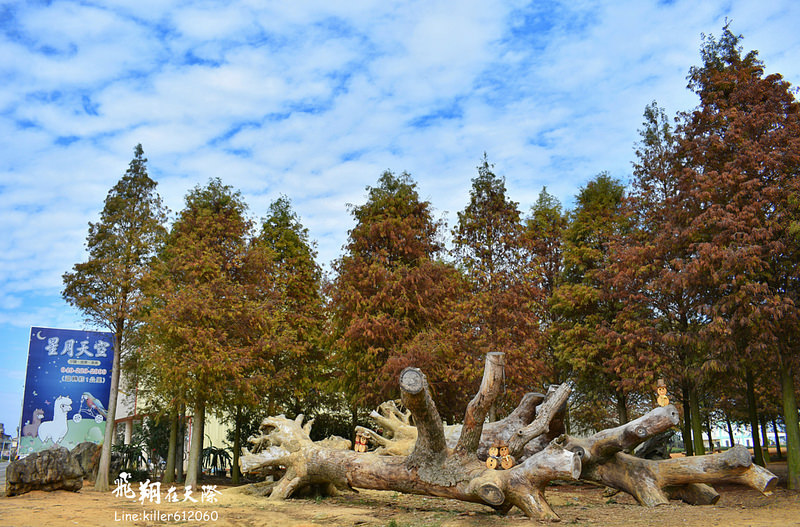 PhotoGrid_1484989637483