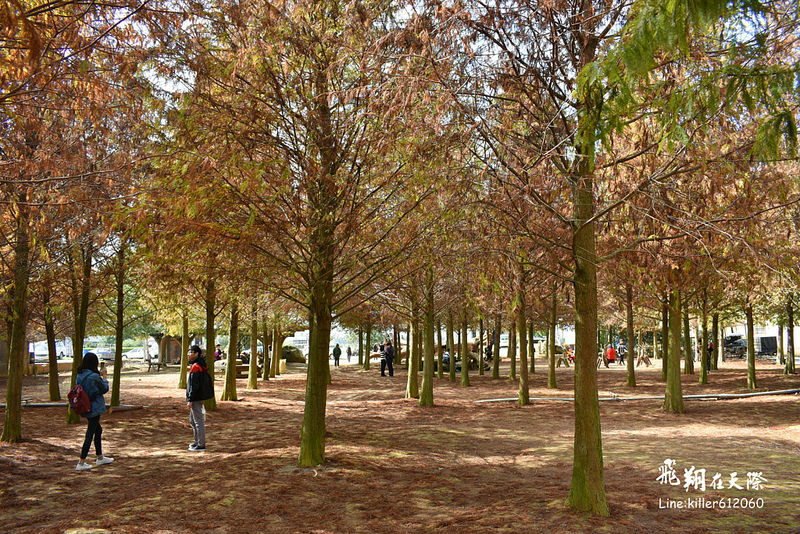 PhotoGrid_1484989775337