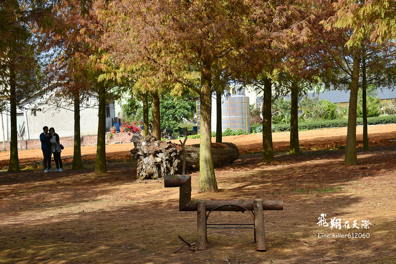 PhotoGrid_1484989679257