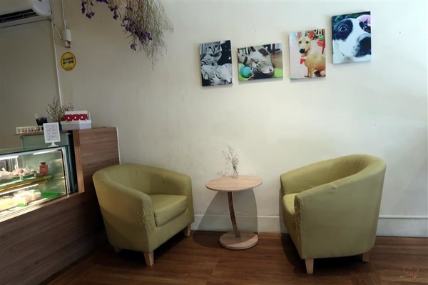 Tom&Maggy 幸福肥 • 手作點心：三重美食 幸福肥手作點心 超可愛龍貓甜點/萌萌達菲馬卡龍 抹茶塔/生巧克力塔 三重下午茶推薦~