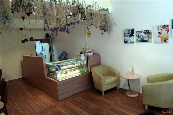 Tom&Maggy 幸福肥 • 手作點心：三重美食 幸福肥手作點心 超可愛龍貓甜點/萌萌達菲馬卡龍 抹茶塔/生巧克力塔 三重下午茶推薦~