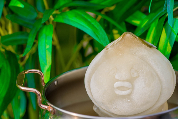 《KOBITOS 森林鍋物》森林小精靈跑進鍋物裡啦！捕捉野生醜比頭！