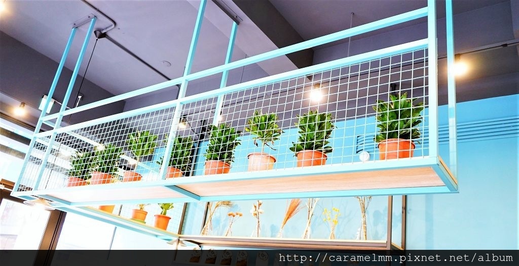 DSC02287.jpg DSC02287.jpg