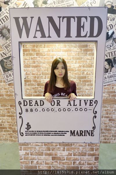 【展覽】航海王迷們快衝吧 ❙ 海賊狂歡祭ONE PIECE動畫15週年特典-台中場