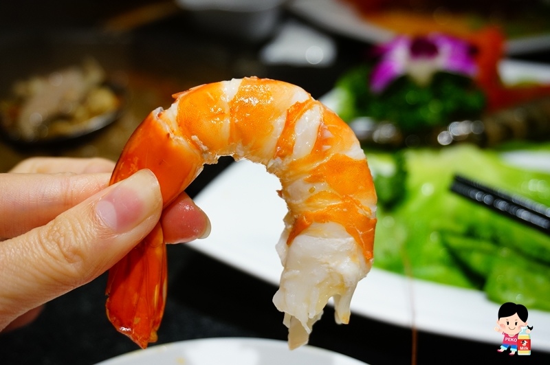 板橋車站美食.東華川府重慶老火鍋.八卦鴛鴦鍋.九宮格火鍋.板橋美食.板橋麻辣鍋.板橋火鍋.