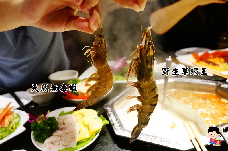 板橋車站美食.東華川府重慶老火鍋.八卦鴛鴦鍋.九宮格火鍋.板橋美食.板橋麻辣鍋.板橋火鍋.