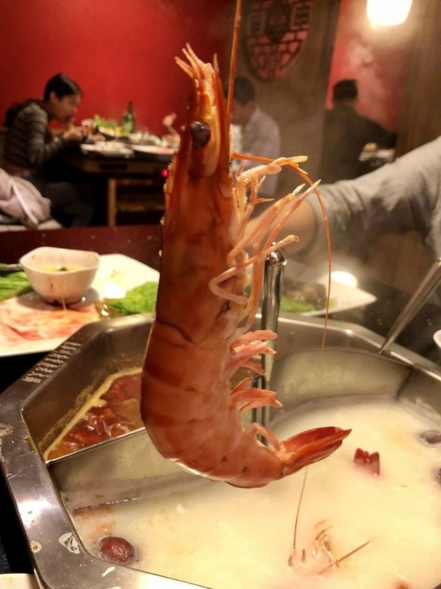 重慶老鍋 (28).JPG