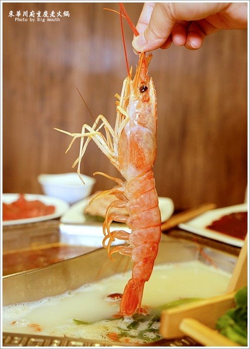 【板橋美食】東華川府重慶老火鍋‧來自四川的道地風味!溫體牛豬肉、內臟必點!