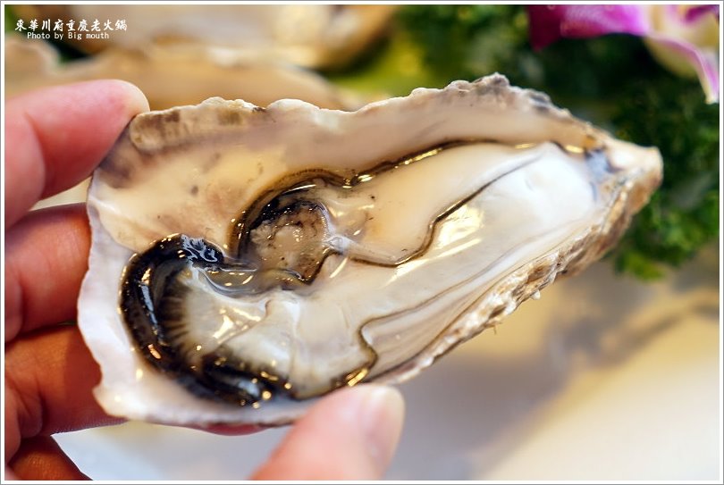 【板橋美食】東華川府重慶老火鍋‧來自四川的道地風味!溫體牛豬肉、內臟必點!