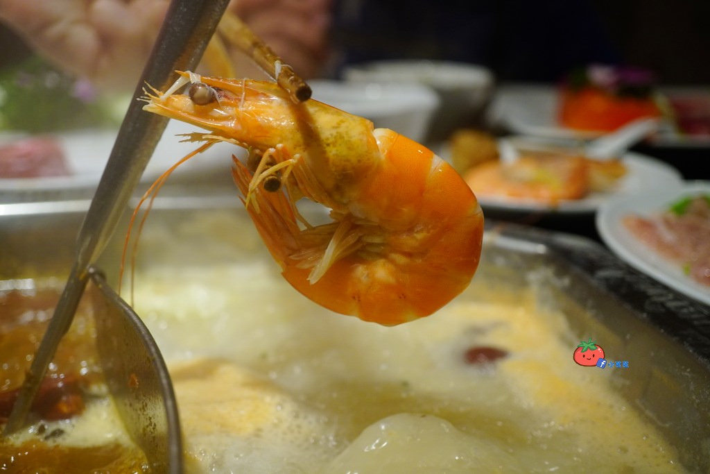 板橋麻辣鍋推薦 東華川府重慶老火鍋