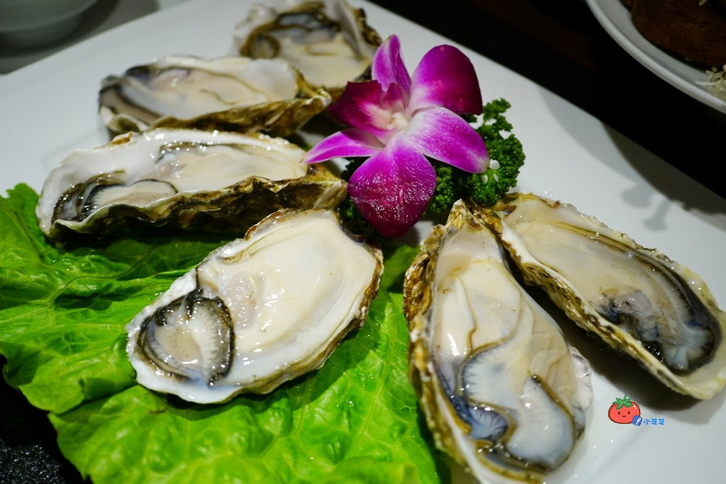 板橋麻辣鍋推薦 東華川府重慶老火鍋