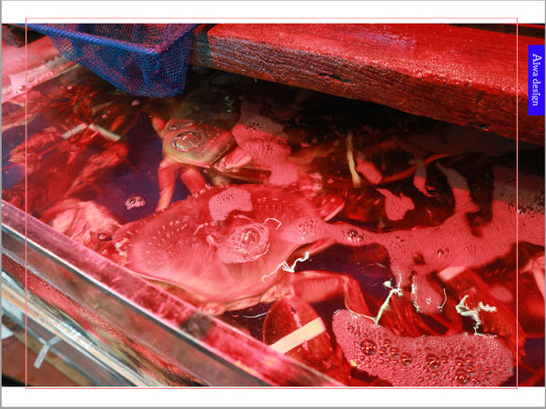 蒸的最健康【海之味新竹北大店-蒸氣養生料理】豪華龍蝦、無油料理， 享受食材最鮮甜的原汁原味-13.jpg