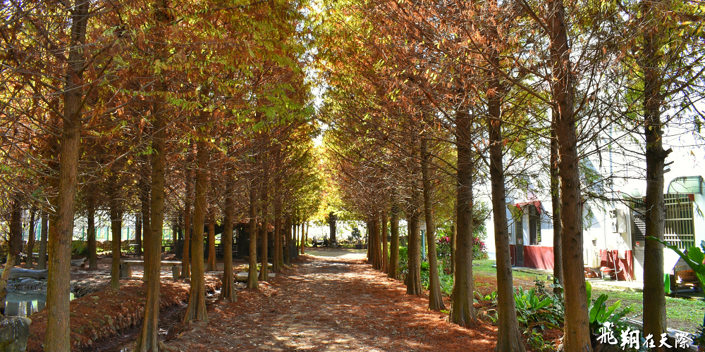 1483833614-965069485