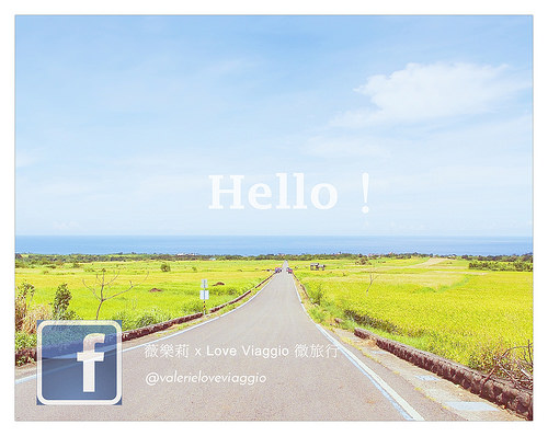 【高雄 Kaohsiung】迷路在向日葵花海中 全國最大葵花迷宮 杉林美濃春暖花開