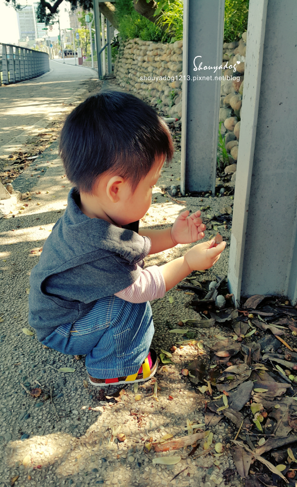 中壢老街溪步道:【景點】中壢老街溪步道-遛小孩的好所在