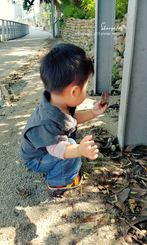 中壢老街溪步道:【景點】中壢老街溪步道-遛小孩的好所在