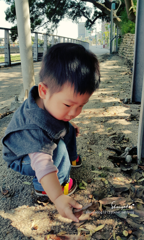 中壢老街溪步道:【景點】中壢老街溪步道-遛小孩的好所在
