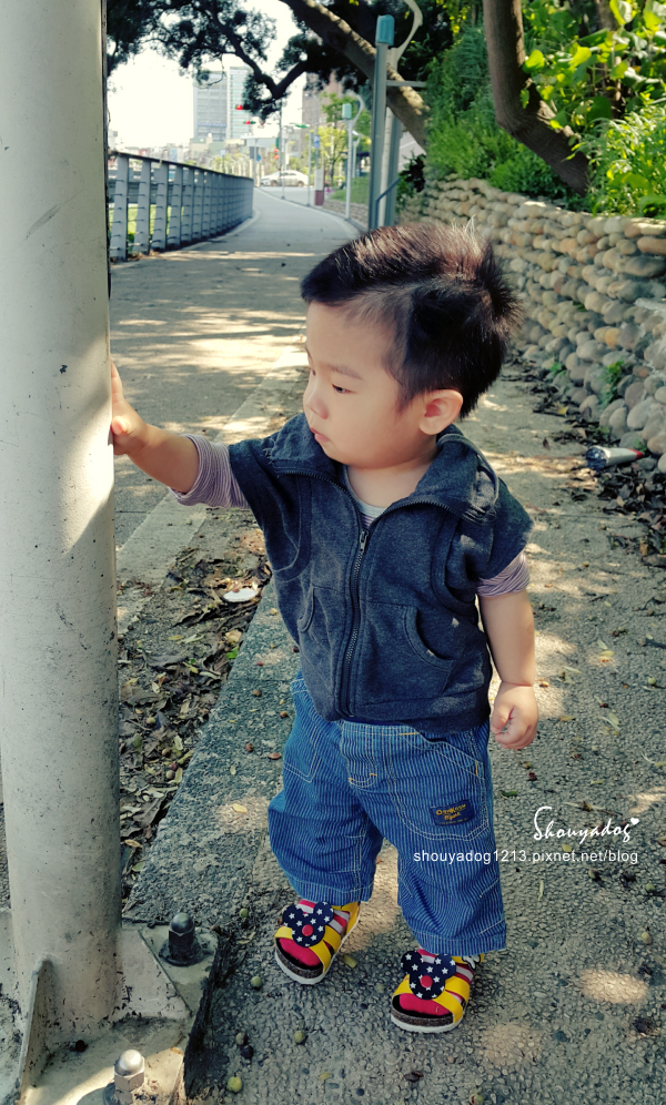 中壢老街溪步道:【景點】中壢老街溪步道-遛小孩的好所在