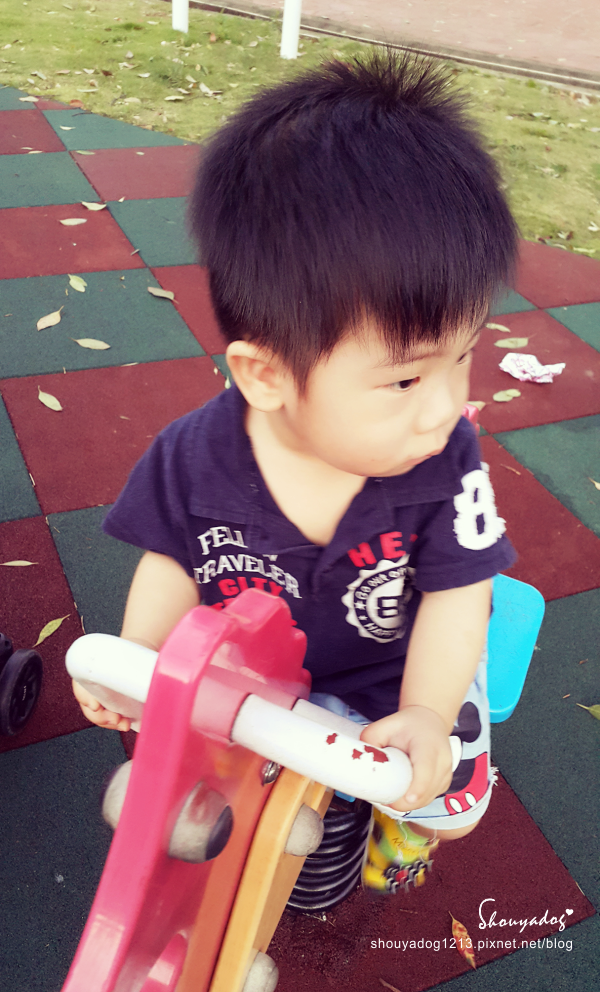 光明公園：【休閒景點】光明公園 in中壢