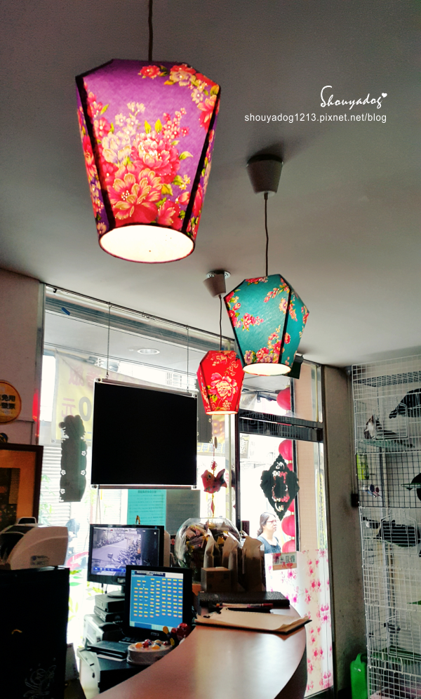 曉川日本料理:【日式料理】貓咪友善店-曉川日本料理 in 汐止