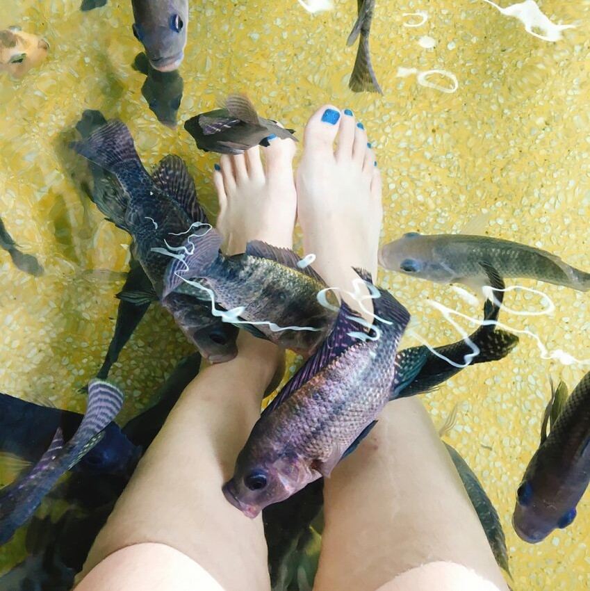 宜蘭縣礁溪鄉【2024礁溪溫泉推薦】精選14間宜蘭礁溪溫泉湯屋推薦，高級溫泉飯店住宿、平價湯屋，CP值爆表冬天泡湯首選