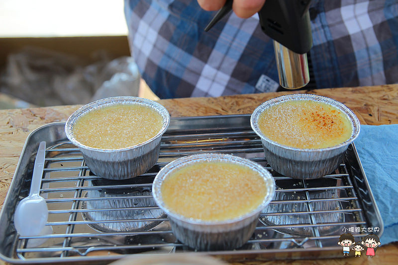 雲林粉紅城堡 100