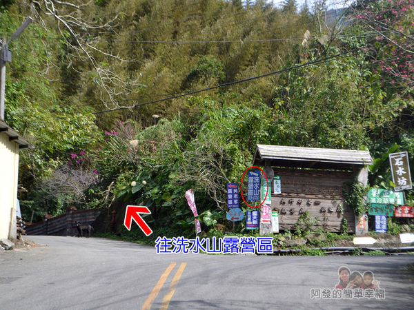 洗水坑李花祕境03-岔路往左