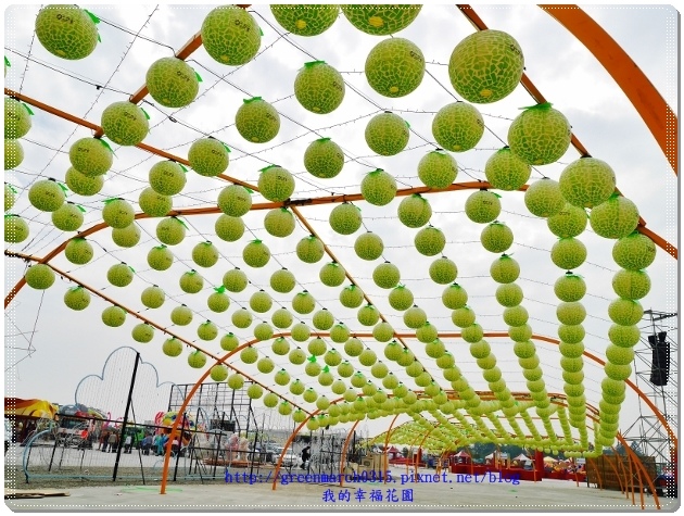 P9020035 (620x465).jpg