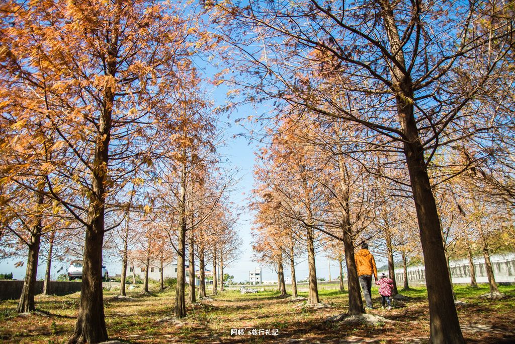 DSC_0533.jpg DSC_0533.jpg