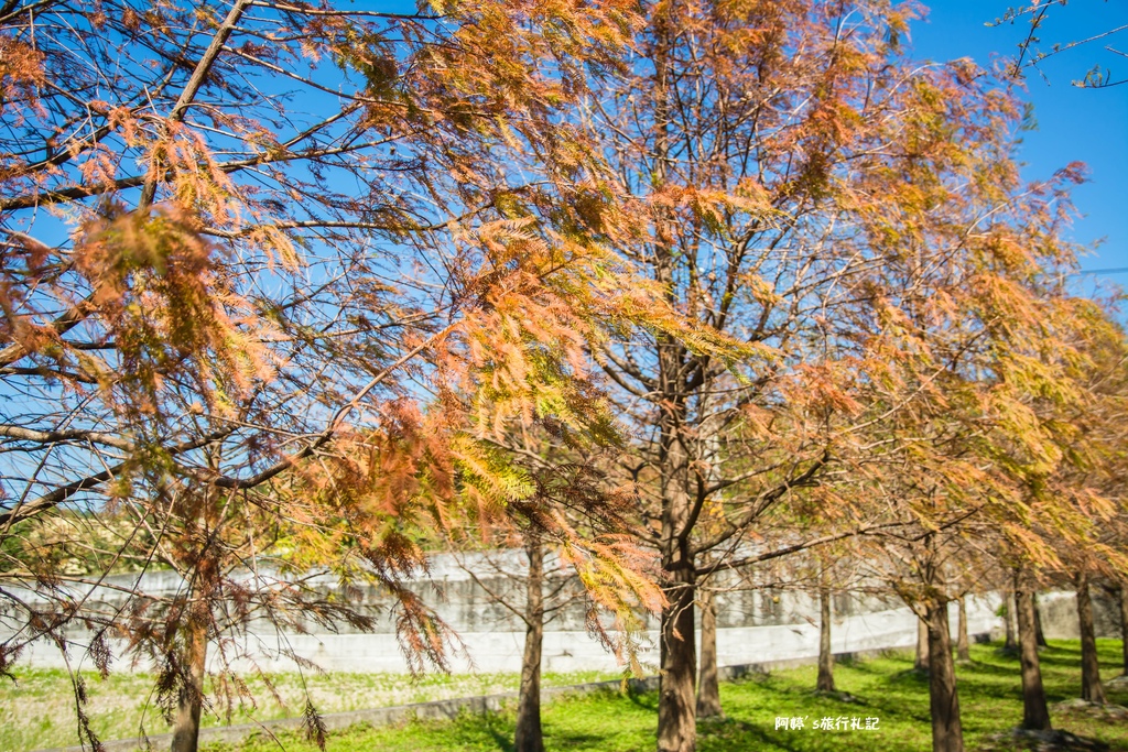 DSC_0514.jpg DSC_0514.jpg