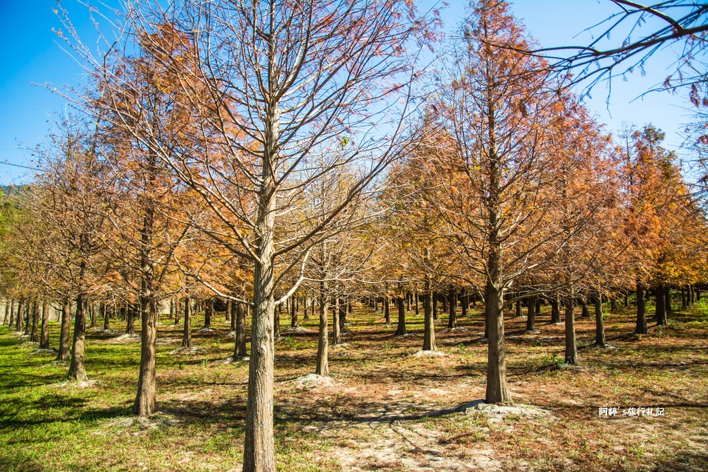 DSC_0541.jpg DSC_0541.jpg