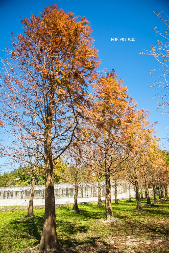 DSC_0511.jpg DSC_0511.jpg