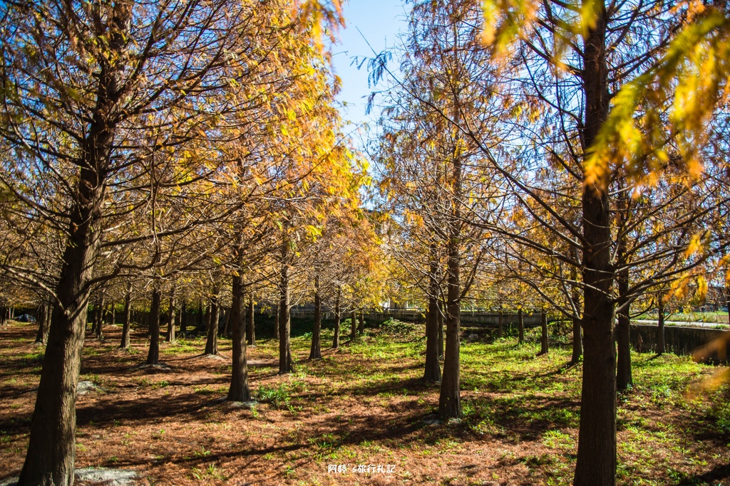 DSC_0538.jpg DSC_0538.jpg