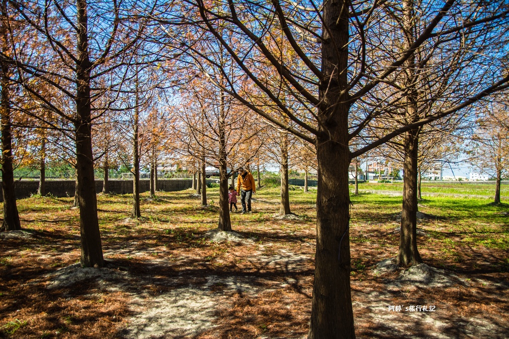 DSC_0519.jpg DSC_0519.jpg