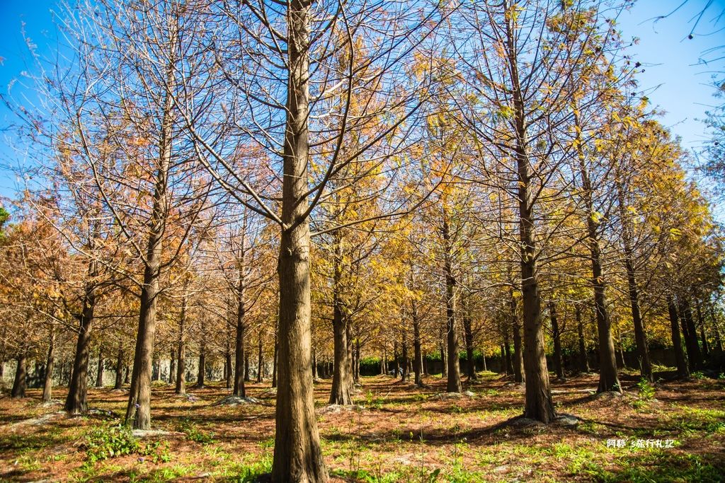 DSC_0522.jpg DSC_0522.jpg