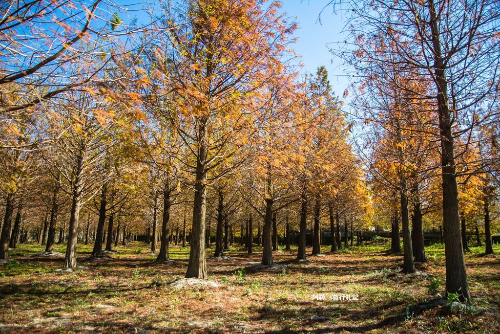 DSC_0512.jpg DSC_0512.jpg