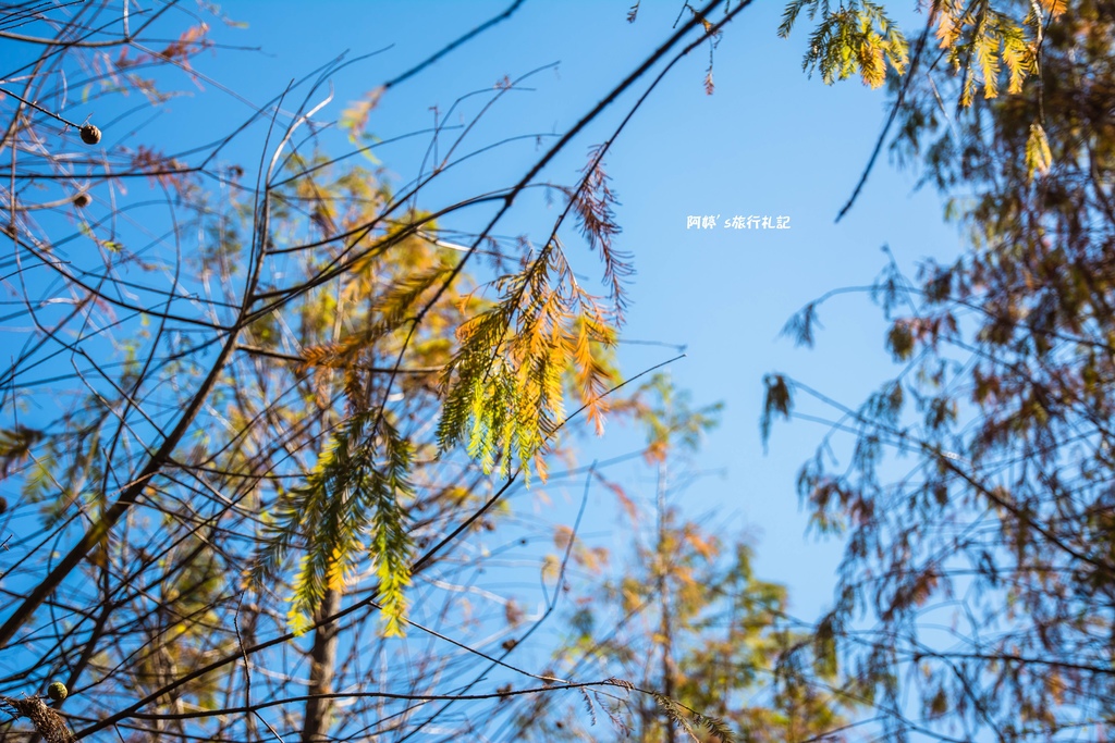 DSC_0528.jpg DSC_0528.jpg