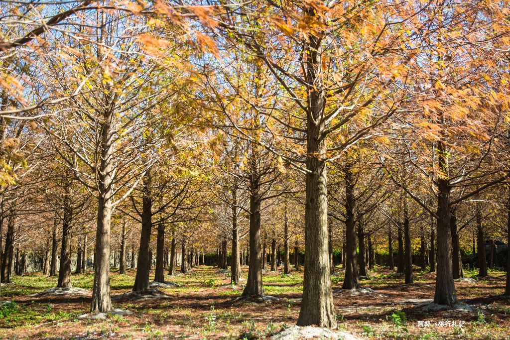 DSC_0513.jpg DSC_0513.jpg