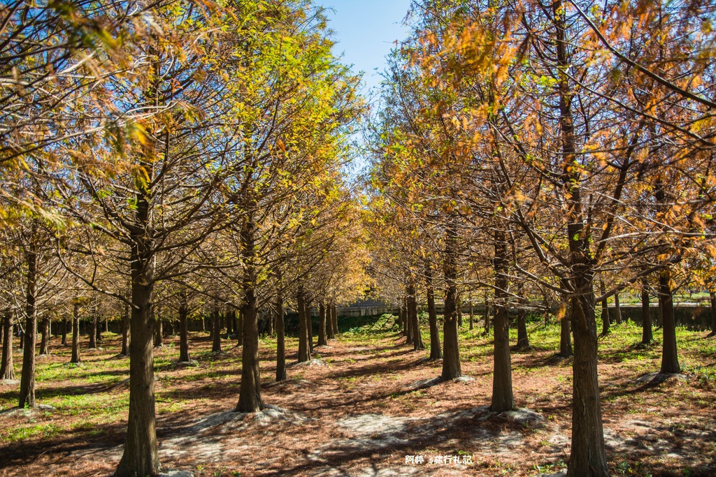 DSC_0515.jpg DSC_0515.jpg