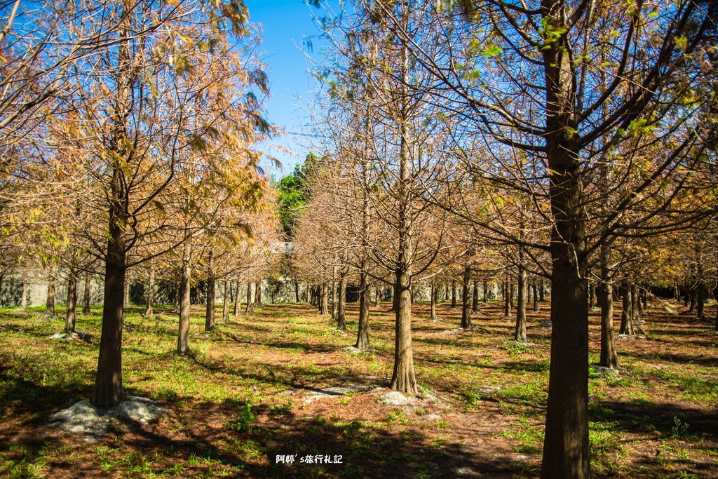 DSC_0518.jpg DSC_0518.jpg